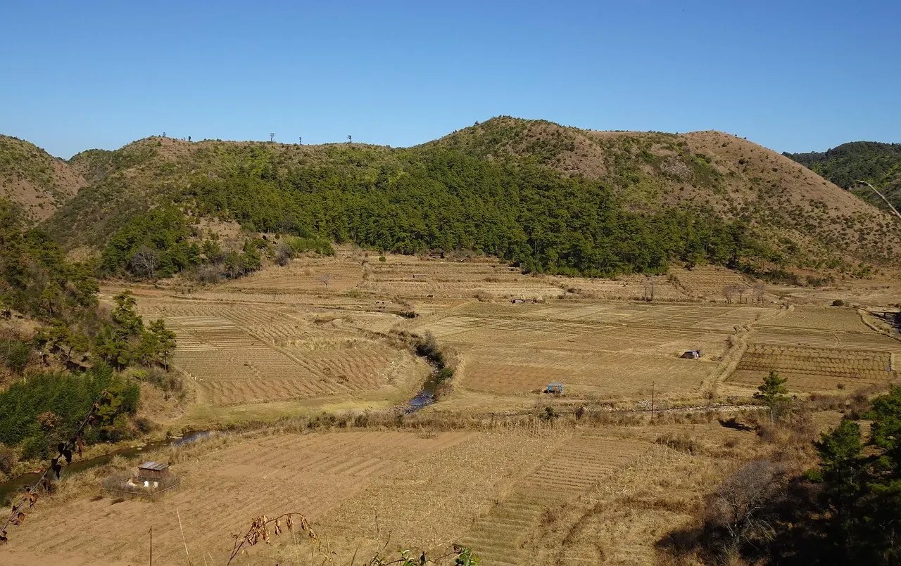Valley – Northeast India Travel Guide: The Seven Sister States, Best Time, Permits and Routes