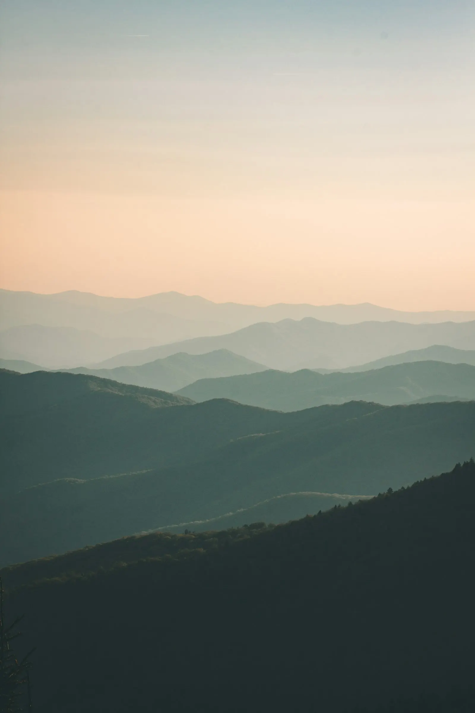 Meghalaya