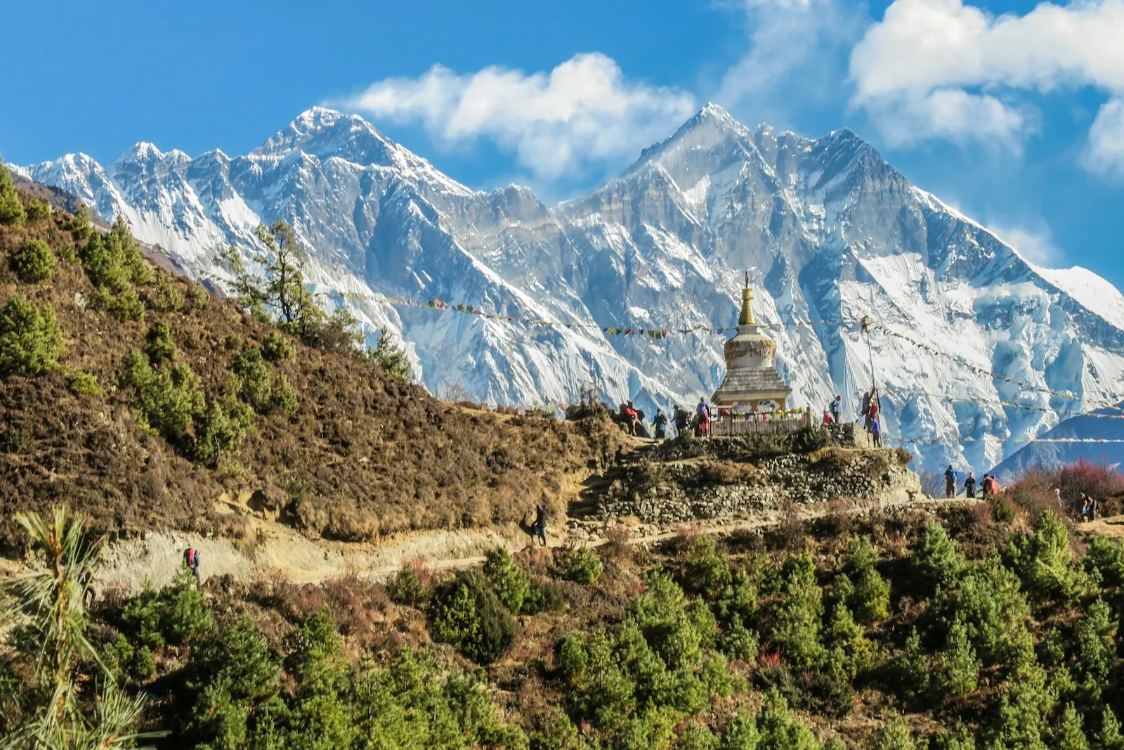Sikkim & Darjeeling