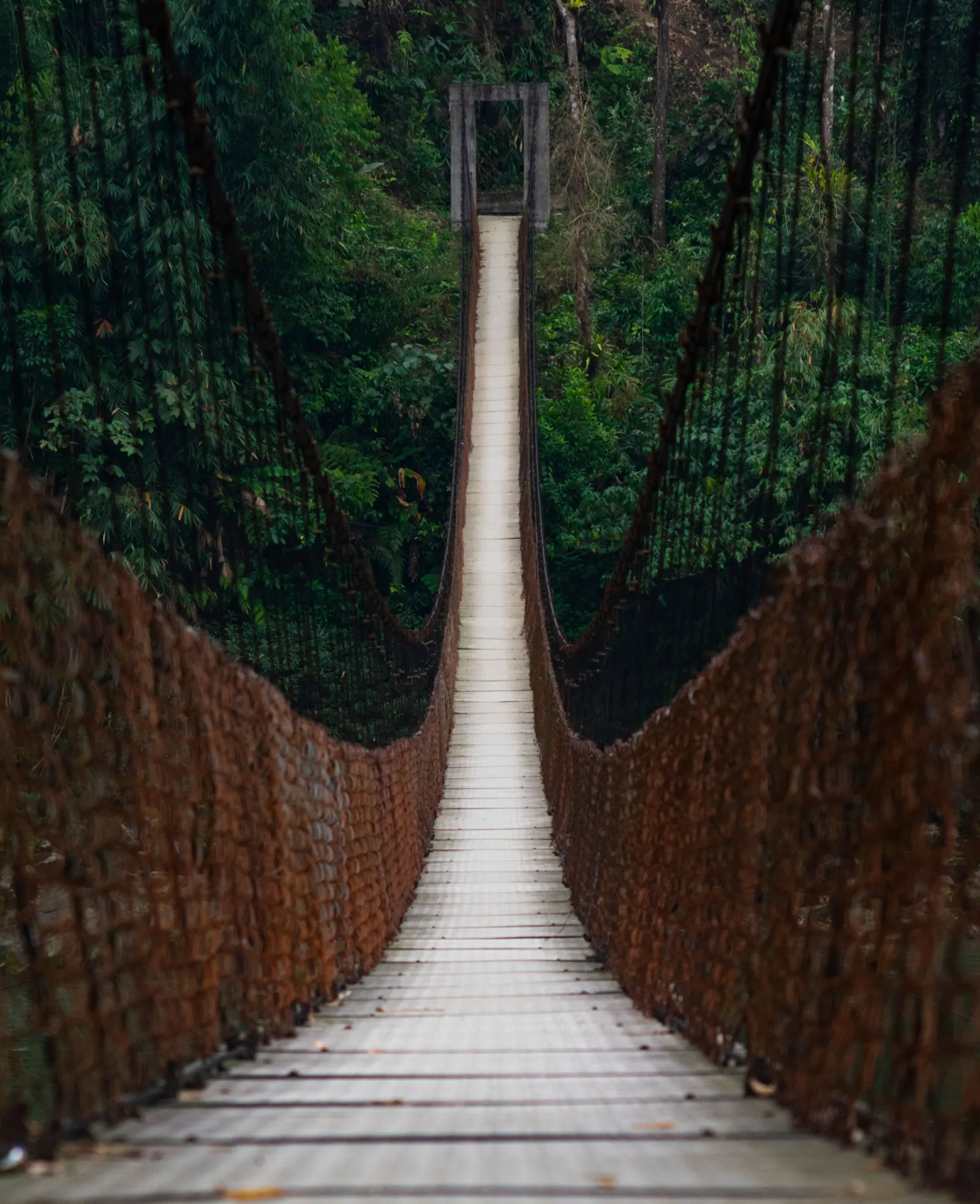 Arunachal Pradesh 5N 6D Tour Package – photo 3