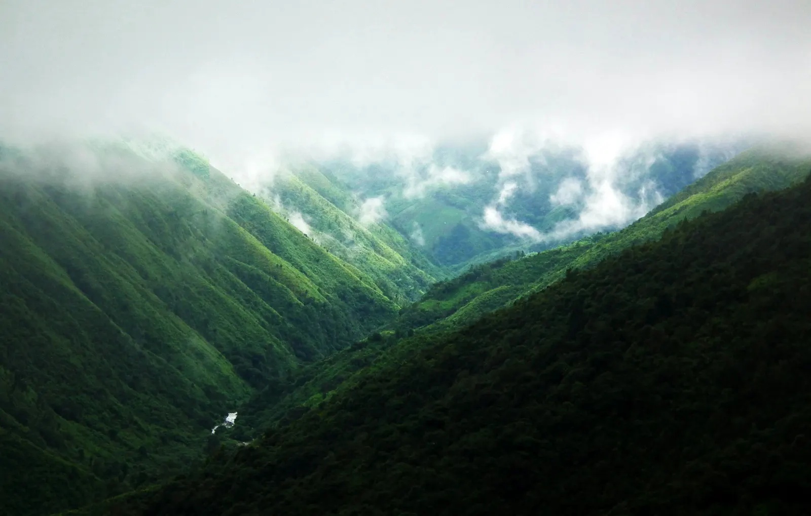 Assam & Meghalaya Tour package 6DAYS – photo 1